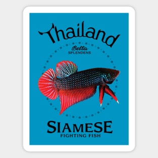 Siamese Fighting Fish Magnet